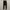 PTR0001 photo 2