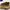 Salomon XT 6