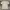 Y2K vintage billabong surf tshirt photo 6