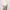 UNIQLO U MEN'S BARREL LIGHTBROWN/COKSU TWILL WORKPANTS 34 photo 1