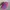 Y2K Patrol Cap Fleur  photo 5