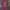 Kaos Harry Potter Gryffindor Ouidditch photo 1