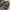 Birkenstock "Zadar" Leather Habana Made in Germany photo 6