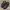 Birkenstock "Zadar" Leather Habana Made In Germany