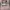 Y2K pink latte mezzo piano tshirt photo 4
