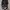 SEPATU CONVERSE RUN STAR TRAINER BLACK GUM photo 4