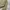 FjallRaven Klingler wear sofsell photo 6