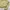 FjallRaven Klingler wear sofsell photo 3