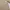 FjallRaven Klingler wear sofsell photo 9