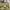 FjallRaven Klingler wear sofsell photo 8