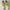 G1. Asics Gel Game 8 photo 1