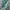 Outer Laura Ashley blues charming knitwear cardigan  photo 1