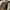 Louis Vuitton Casual Handbag Wanita tan cream photo 4