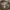 Louis Vuitton Casual Handbag Wanita tan cream photo 5