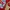 Vintage 80s 49ers San Francisco NFL Superbowl Champions photo 3