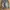 VANS Vintage Y2K Short Pria gray photo 1