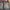 VANS Vintage Y2K Short Pria gray photo 3