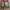 VANS Vintage Y2K Short Pria gray photo 2