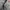 VANS Vintage Y2K Short Pria gray photo 5