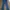 Levis Cutbray 