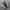 NIKE AIR FORCE 1 photo 1