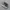 NIKE AIR FORCE 1 photo 3