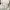 K-Swiss Pocket Terry Crewneck Sweatshirt White photo 5