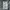 Carhartt Vintage Dungaree Pria blue photo 5