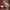 Sportswear Hat Pria brown photo 3