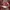 Sportswear Hat Pria brown photo 2