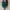 Knitt Blouse Long Sleeve emerald photo 4