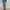 Vintage Windbreaker Pria blue photo 5