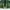 Sepatu NIKE Air Force 1 React photo 3