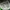 Sepatu NIKE Air Force 1 React photo 6