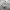 Crewneck star wars grey photo 1