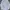 Versace Collection Trend White Cotton Button Up photo 2