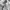 Versace Collection Trend White Cotton Button Up photo 7