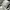 GIVENCHY URBAN STREET LEATHER SNEAKERS , GIVENCHY URBAN STRE photo 7