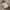 Celana pendek militery us marine corps photo 6