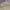 Celana pendek militery us marine corps photo 3