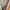 MK Jetset zip tote bag brown photo 4