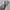 Apple Watch Series 3 Nike Plus (GPS) 42mm Model A1859 Space photo 6