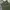 Uniqlo Streetwear Vintage Formal pants Pria green photo 4