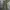 Uniqlo Streetwear Vintage Formal pants Pria green photo 2