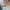 Tee The Mountain Rain Forest Cafe Cr 2017 photo 6