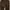 Levis bootcut 525  photo 2