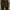 Levis bootcut 525  photo 5