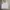 H&M Casual Bandeau top Wanita white photo 1