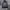 Hoodie Zipper Nike Mister Bad Airs Blazer Big Logo Style photo 2