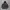 Bat Tsu Studio Puffer Jacket